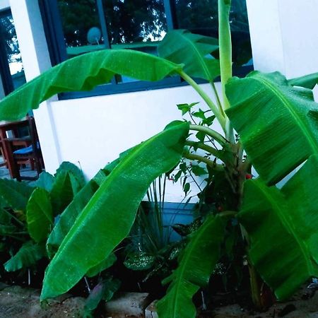 Bungalow Ramena Beach Antsiranana Andjamen 外观 照片