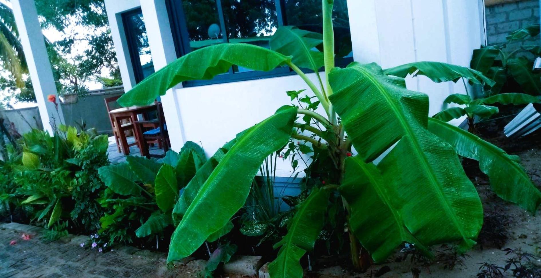 Bungalow Ramena Beach Antsiranana Andjamen 外观 照片