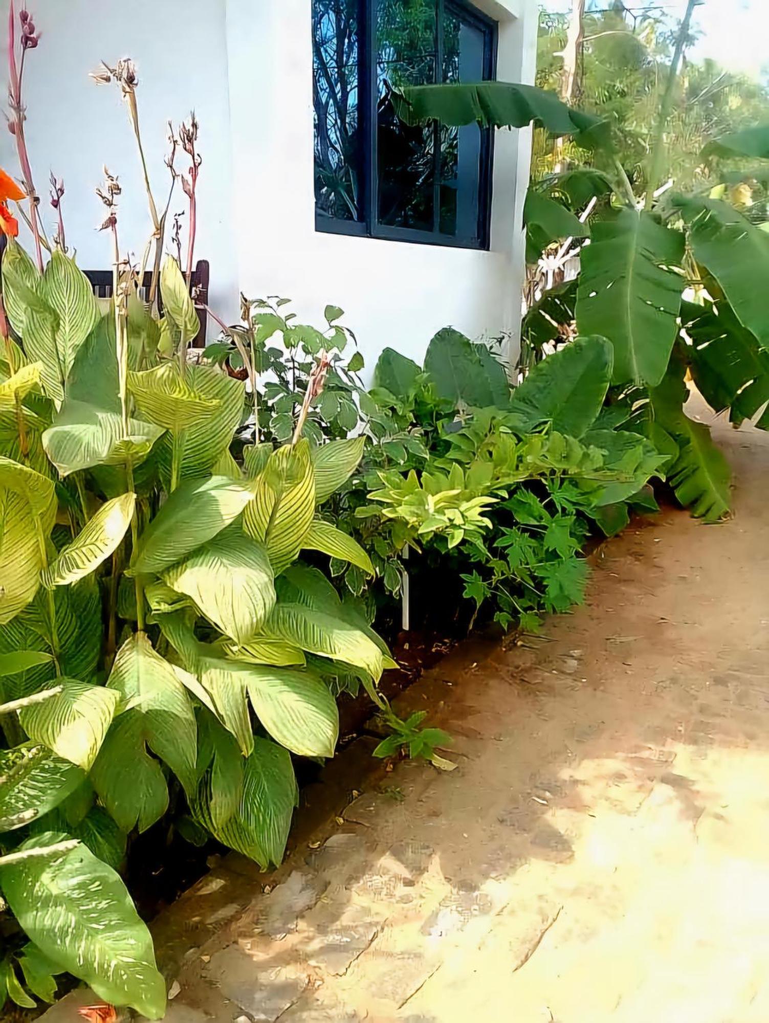 Bungalow Ramena Beach Antsiranana Andjamen 外观 照片